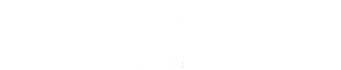 West Networks Logo